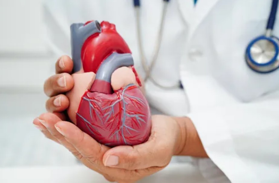 Top-Rated Heart Hospitals in Gorakhpur Offering World-Class Treatment