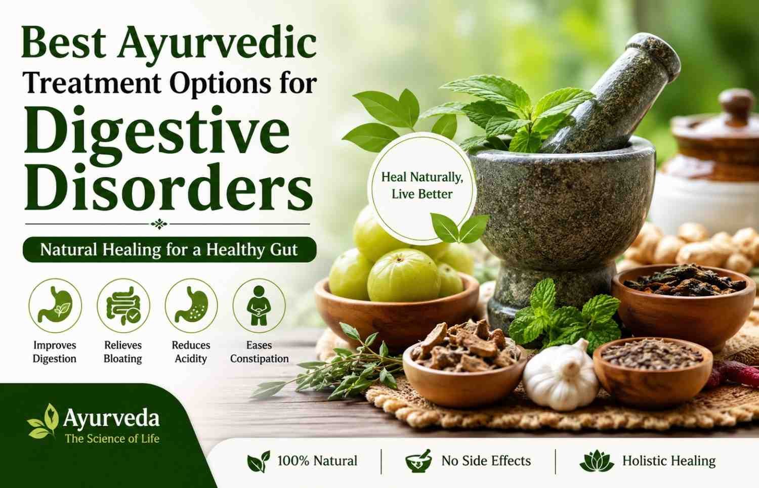 Best Ayurvedic Treatment Options for Digestive Disorders